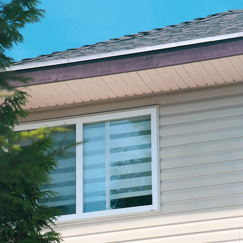 White siding, window trim and roofline after a soft wash